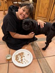 Reunited Male Dog last seen Panorama Place, North Tustin, CA 92705