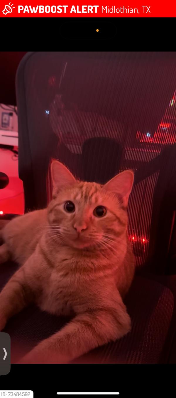 Lost Male Cat last seen Capstone road bridge water, Midlothian, TX 76065