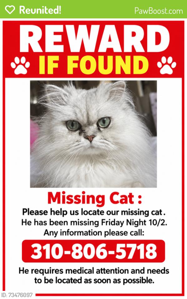 Reunited Male Cat last seen Anaheim,President, Los Angeles, CA 90710