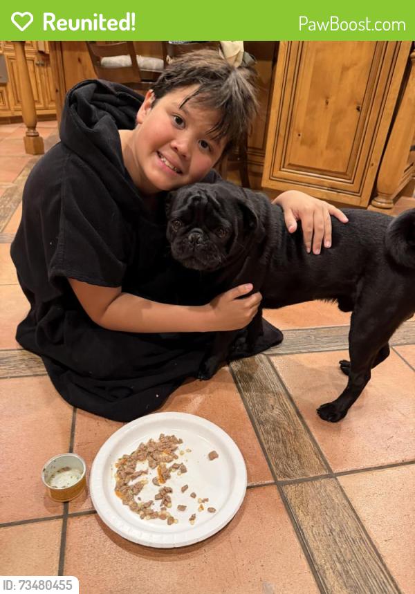 Reunited Male Dog last seen Panorama Place, North Tustin, CA 92705