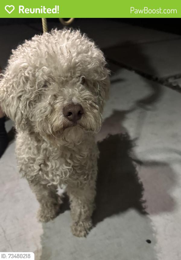 Reunited Male Dog last seen Woodruff, Temple City, CA 91780
