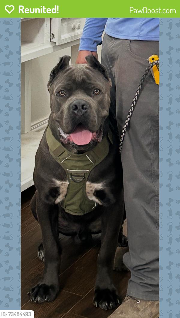 Reunited Male Dog last seen 242/1485, Conroe, TX 77306