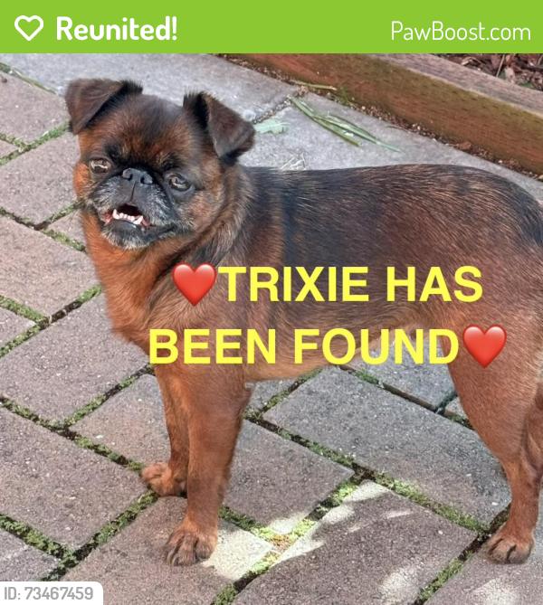 Reunited Female Dog last seen Pillar Point Harbor, El Granada, CA 94019