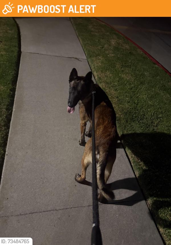 Found/Stray Male Dog last seen Kona Dr and Waikiki, Huntington Beach, CA 92649