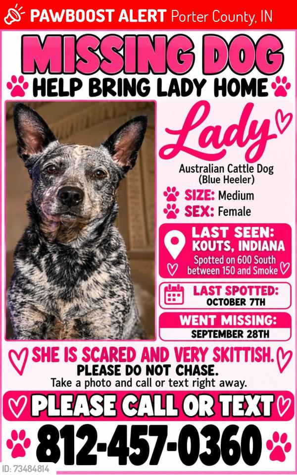 Lost Female Dog last seen Baums bridge, Porter County, IN 46347
