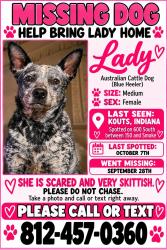 Lost Female Dog last seen Baums bridge, Porter County, IN 46347