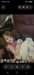 Reunited Female Cat last seen Hamilton crossing park, Bartow County, GA 30120