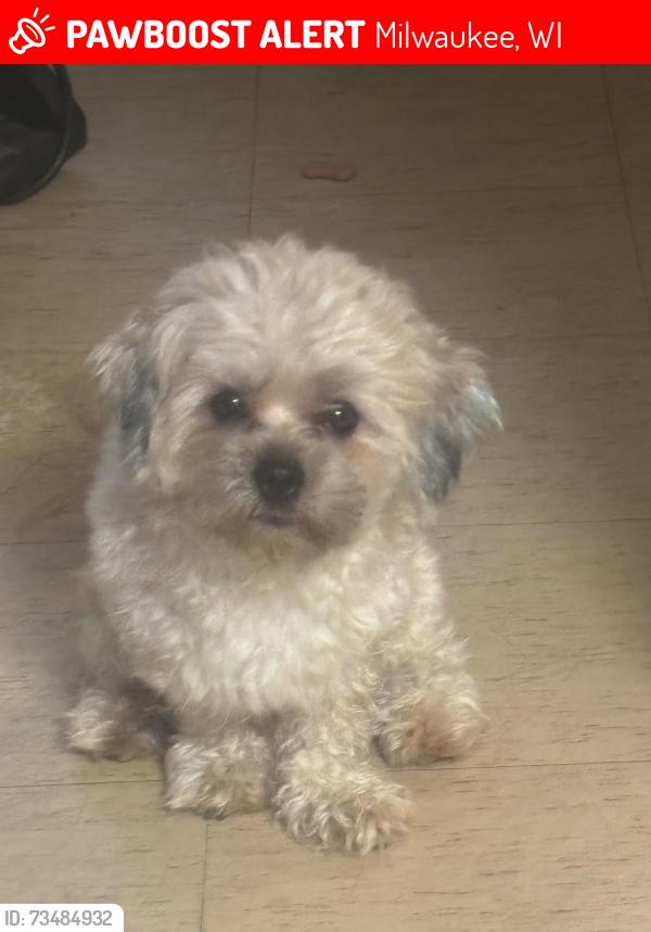 Lost Male Dog last seen McGovern Park, Milwaukee, WI 53218