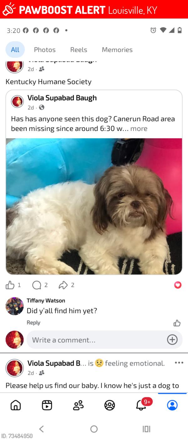 Lost Male Dog last seen Rockford Lane, Louisville, KY 40258