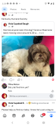 Lost Male Dog last seen Rockford Lane, Louisville, KY 40258