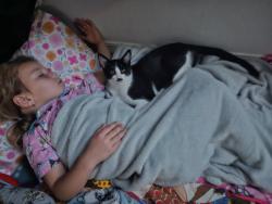 Reunited Male Cat last seen Johnson Bend, Weatherford, TX 76086
