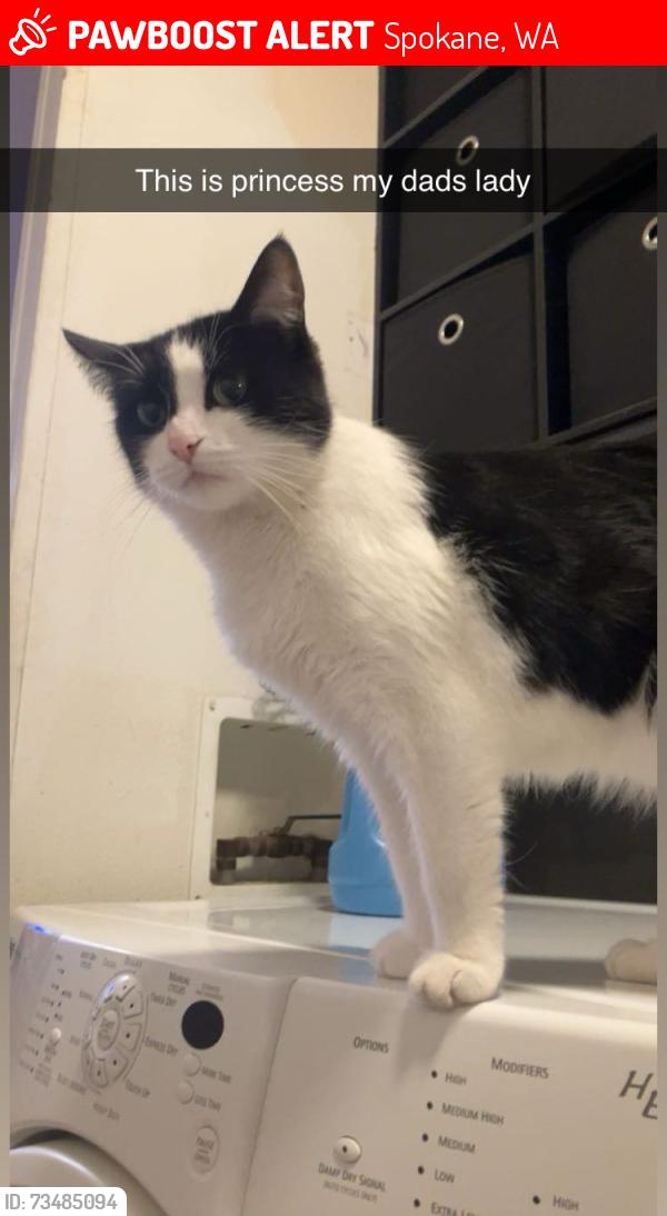 Lost Female Cat last seen Deno rd, Spokane, WA 99224