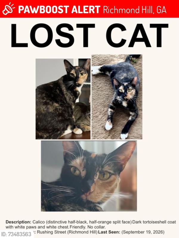 Lost Female Cat last seen Rushing street and Ford avenue, Richmond Hill, GA 31324