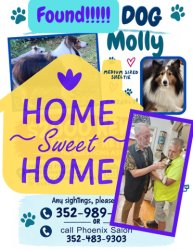 Reunited Female Dog last seen Near Fairview Court Eustis Florida, Eustis, FL 32726