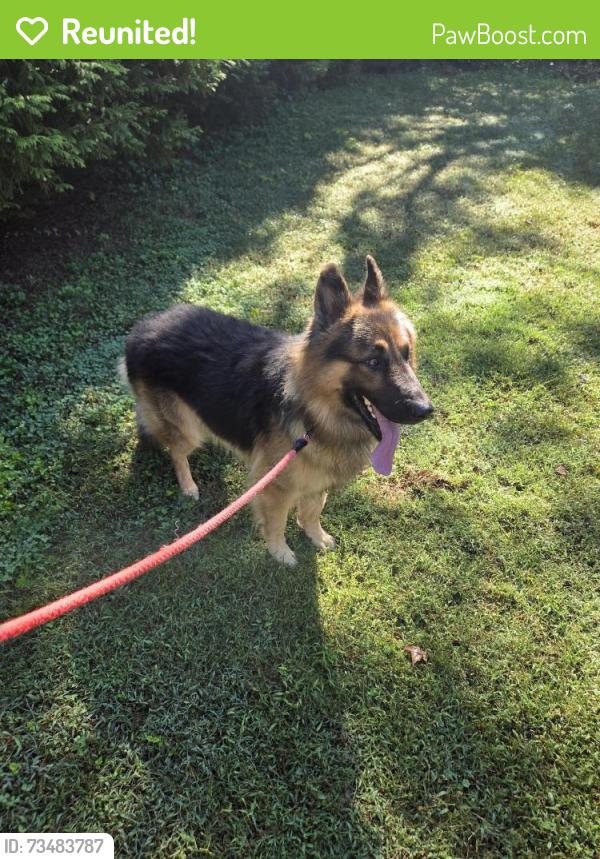 Reunited Male Dog last seen Near the edwards street entrance to the park, Rutherfordton, NC 28139