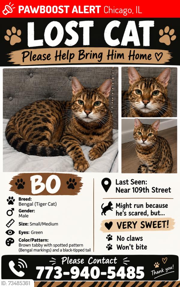 Lost Male Cat last seen 109th street 60643, Chicago, IL 60643