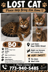Lost Male Cat last seen 109th street 60643, Chicago, IL 60643