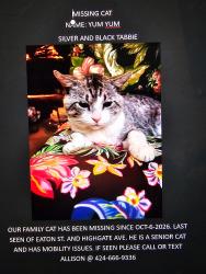 Reunited Male Cat last seen Eaton St. and Highgate Ave., Los Angeles, CA 90042