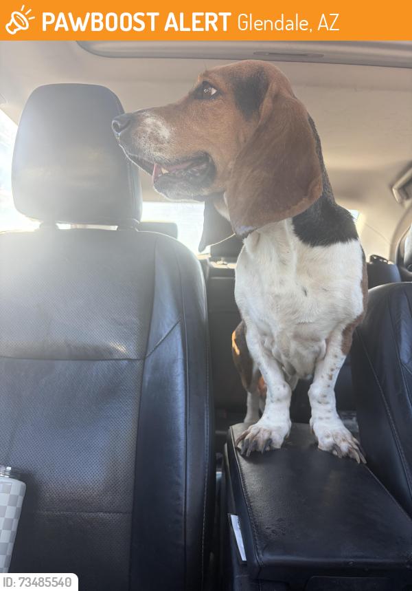 Found/Stray Female Dog last seen Heroes regional park, Glendale, AZ 85303