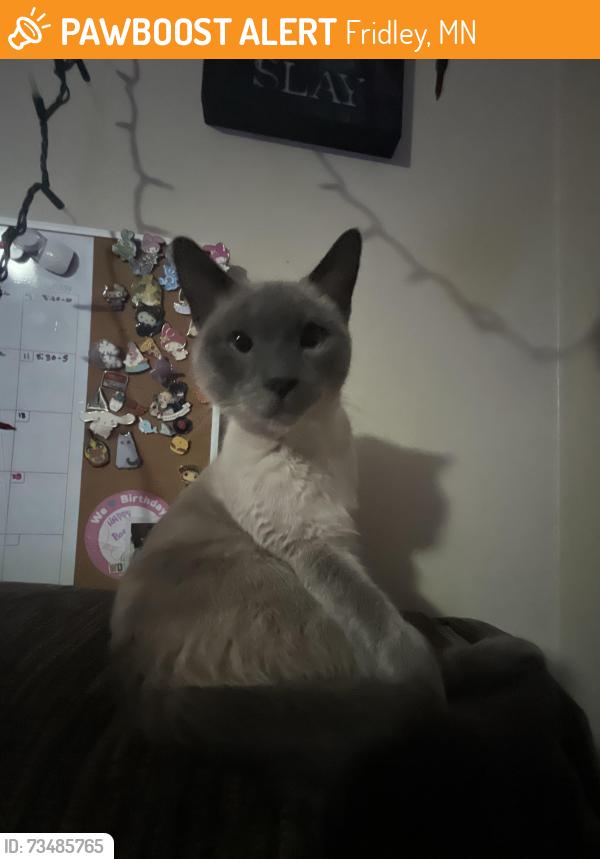 Found/Stray Female Cat last seen apmt, Fridley, MN 55432