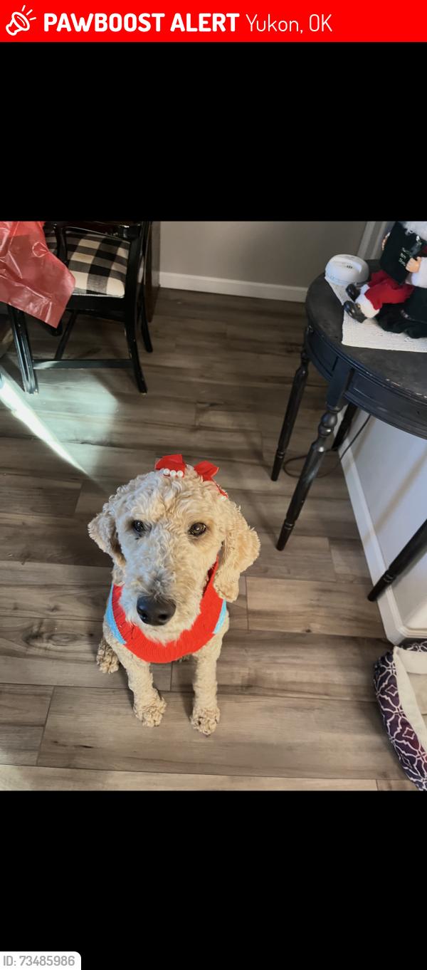 Lost Female Dog last seen Near Torretta, Yukon, OK 73099