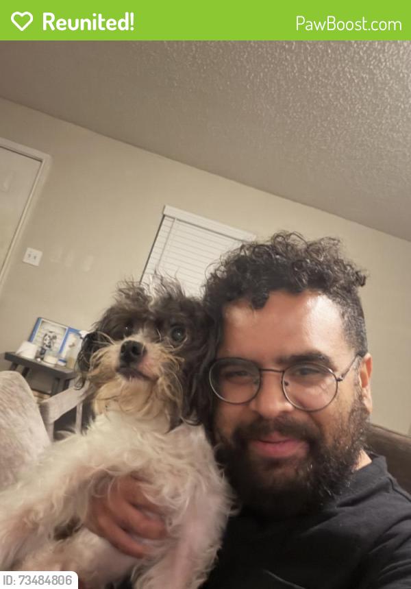 Reunited Male Dog last seen I35, Austin, TX 78741