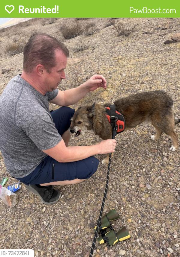Reunited Male Dog last seen Near Equestrian park, Angleton, TX 77515