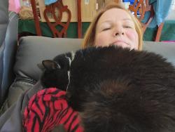 Lost Female Cat last seen Near Clydesdale Ct, Hampton, VA 23666