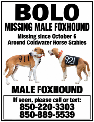 Reunited Male Dog last seen Gordon land rd buddy hardy rd friendship rd 3 notch trail lewis rd christmas tree rd Fleming bridge rd hwy 4 hwy 87, Santa Rosa County, FL 32570