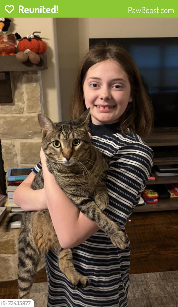 Reunited Male Cat last seen Aspen Park, Krum, TX 76249