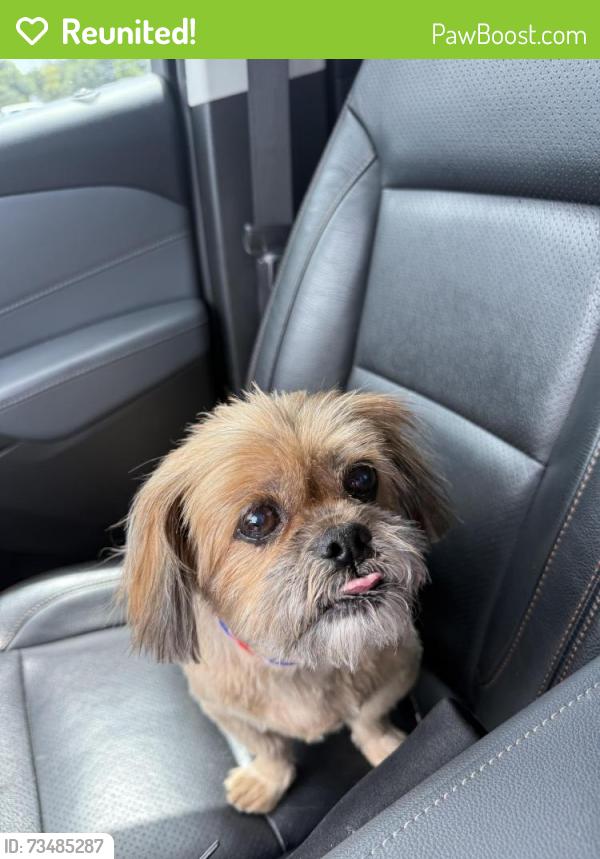 Reunited Male Dog last seen 741, Shands, Forney, TX 75126