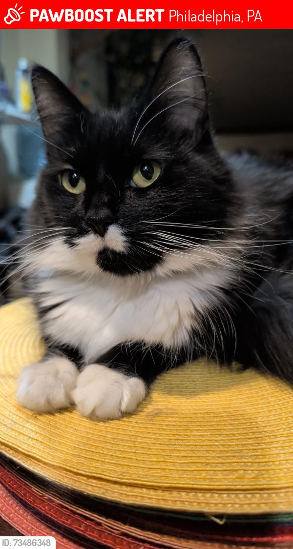 Lost Female Other last seen Alleys of Sheridan and Porter street, Philadelphia, PA 19148