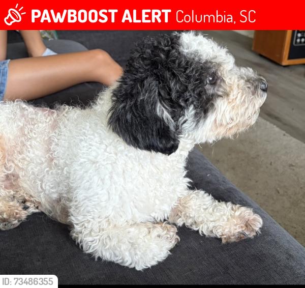 Lost Male Dog last seen Near Ft Jackson Blvd, Columbia, SC 29209