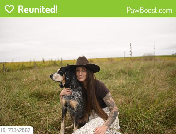 Reunited Female Dog last seen Near Old 421 Rd Liberty, NC 27298 United States Chicken feed mill, Liberty, NC 27298