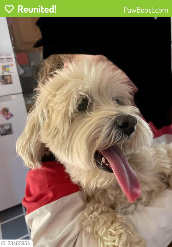 Reunited Male Dog last seen Sheridan / Jewell, Denver, CO 80227