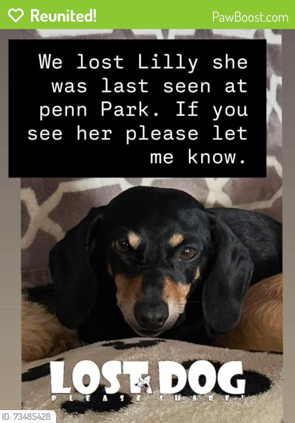 Reunited Female Dog last seen Ran into the landfill, Whittier, CA 90602