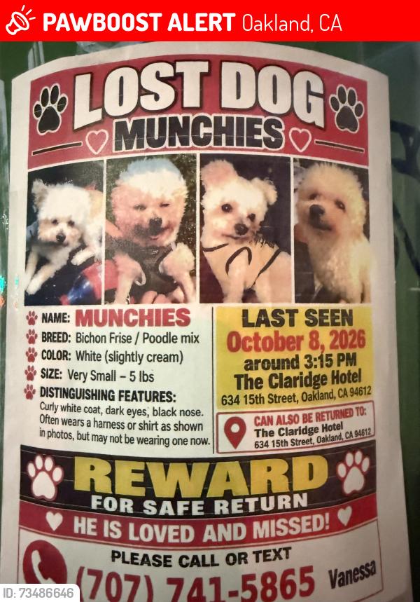 Lost Male Dog last seen 15th st and Martin Luther king dr, Oakland, CA 94612