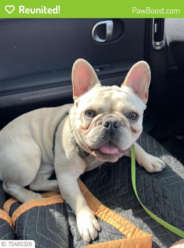 Reunited Male Dog last seen Yukon and 133rd street, Hawthorne, CA 90250