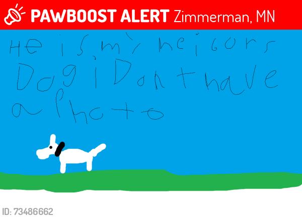 Lost Male Dog last seen an aspen heights sign, Zimmerman, MN 55398