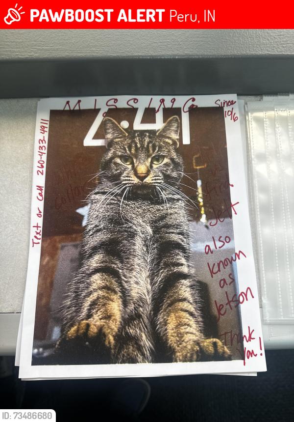 Lost Male Cat last seen Hidden Hills addition, Peru, IN 46970