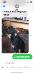 Lost Male Dog last seen Bammert and Southveiw, Las Cruces, NM 88007
