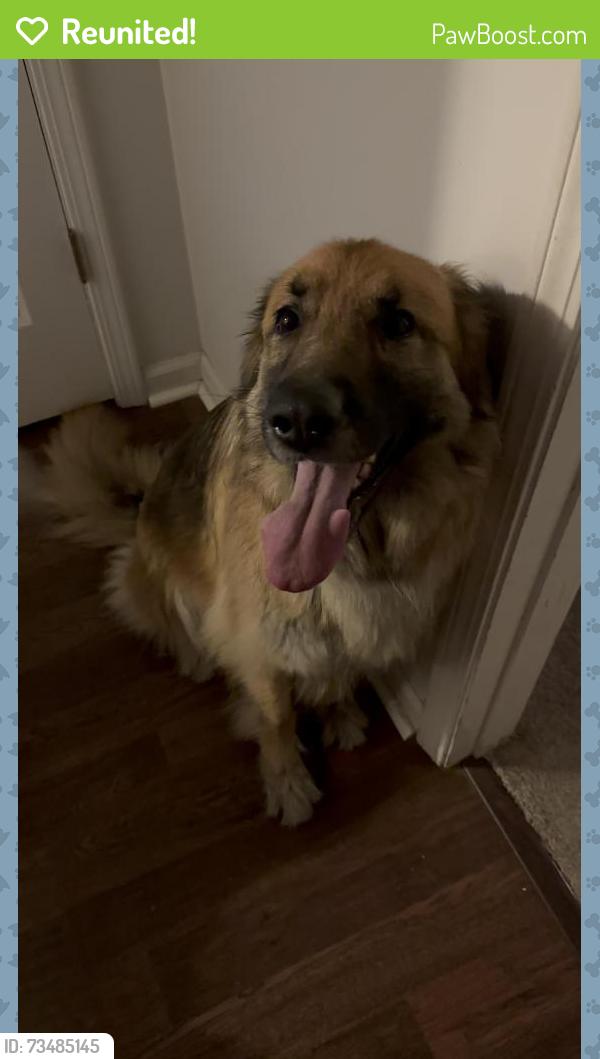 Reunited Female Dog last seen Elmore Park Rd and Ivanhoe Rd, Memphis, TN 38134