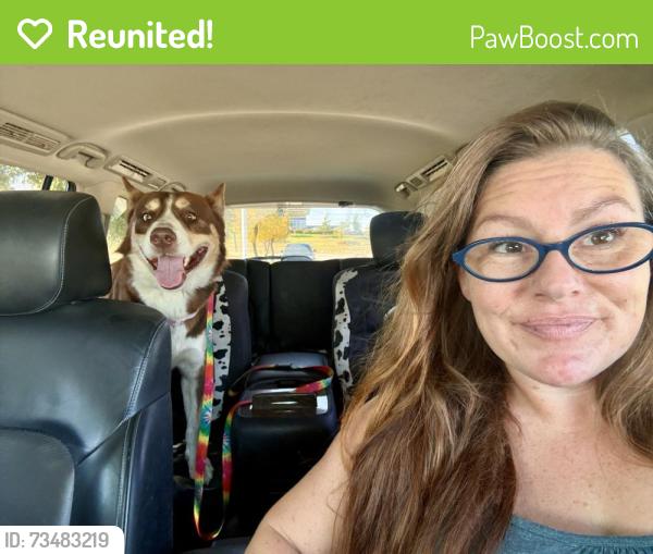 Reunited Male Dog last seen Belknap and Retta, Fort Worth, TX 76111