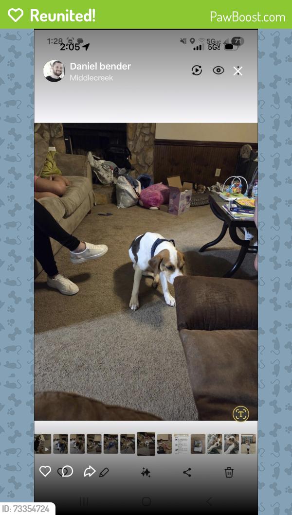 Reunited Male Dog last seen Brookshire St, Fayetteville, NC 28314