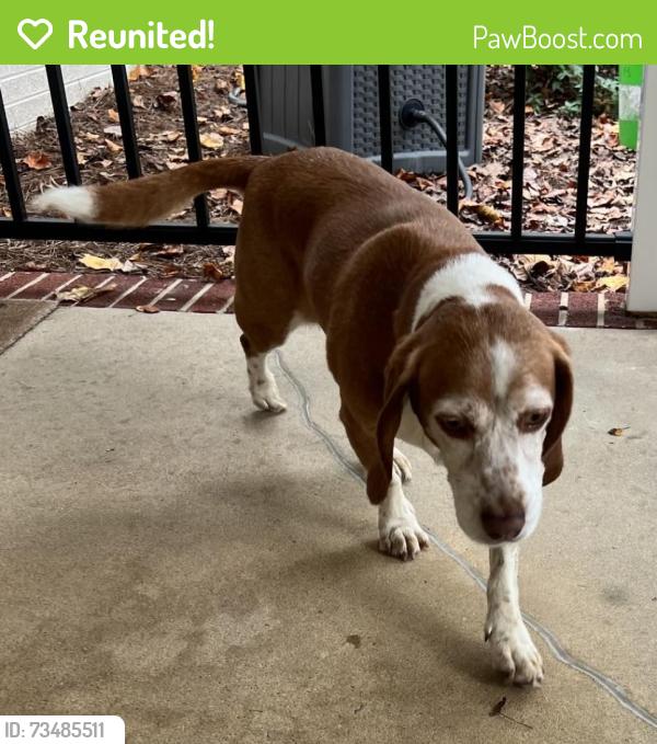 Reunited Female Dog last seen Near Ebert rd, Winston-Salem, NC 27127