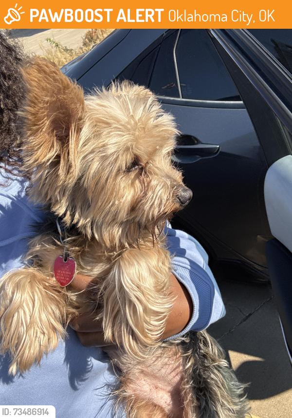 Found/Stray Male Dog last seen Near NW 111th st, Oklahoma City, OK 73114