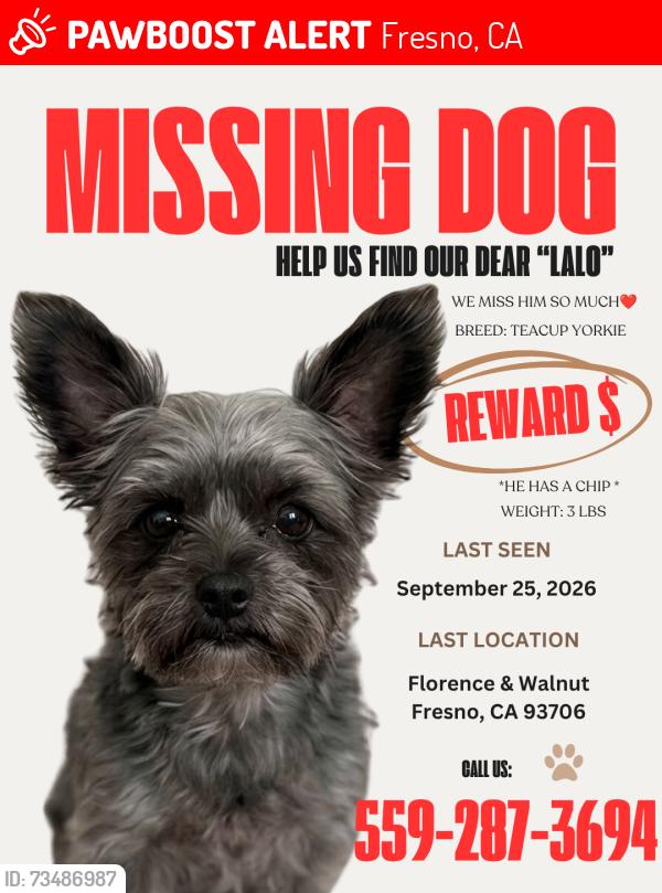 Lost Male Dog last seen Florence and walnut near Edison high school, Fresno, CA 93706