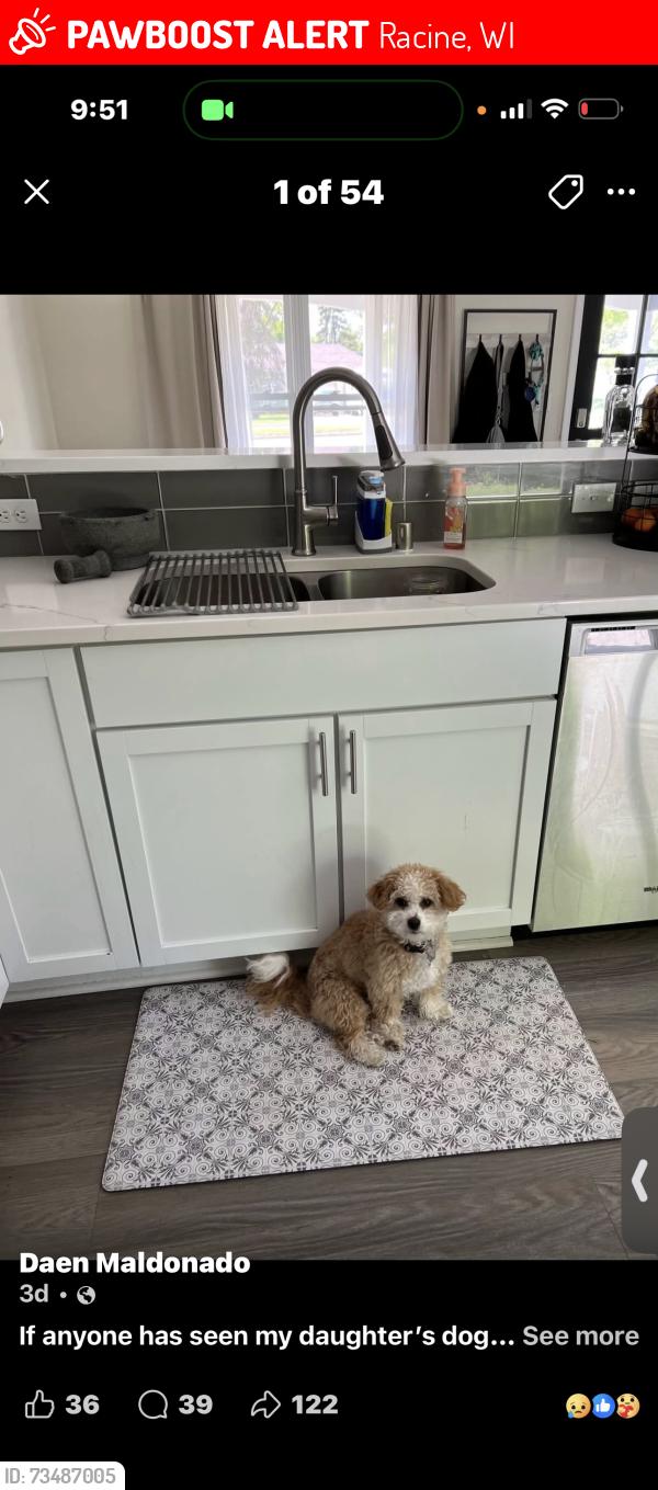 Lost Male Dog last seen Chickory and Meachem, Racine, WI 53403