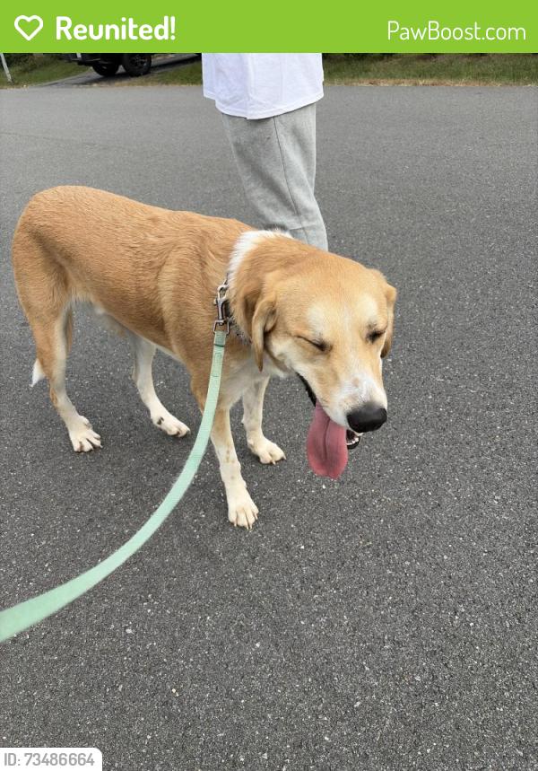 Reunited Male Dog last seen Virginia Oaks, Gainesville, VA 20155