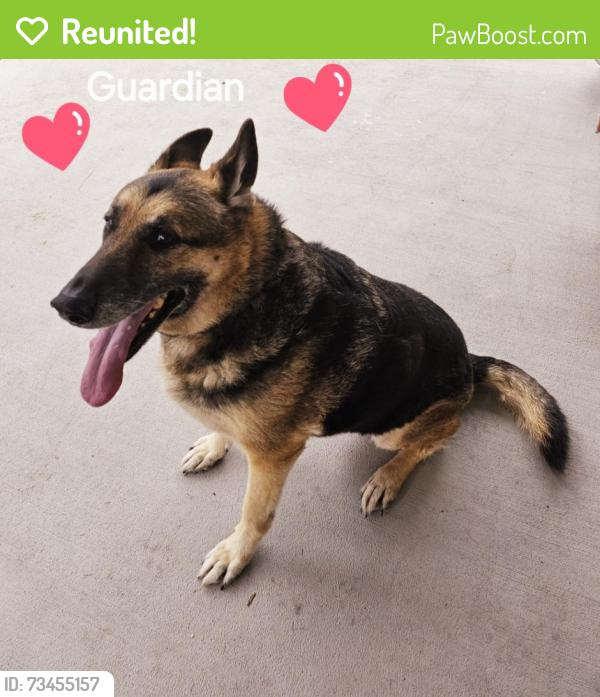 Reunited Male Dog last seen Encino Estates, Dayton, TX 77535